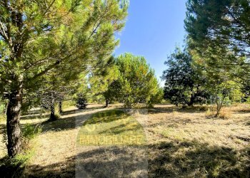 Foto 14 - Terreno agricolo Cupello - foto 14