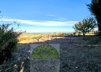 Foto 17 - Terreno agricolo Cupello - foto 17