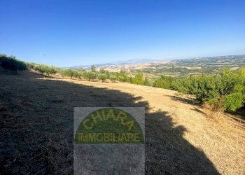 Foto 19 - Terreno agricolo Cupello - foto 19