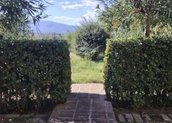 Foto 44 - Casa indipendente Via San Michele
 
57, Offida - foto 44