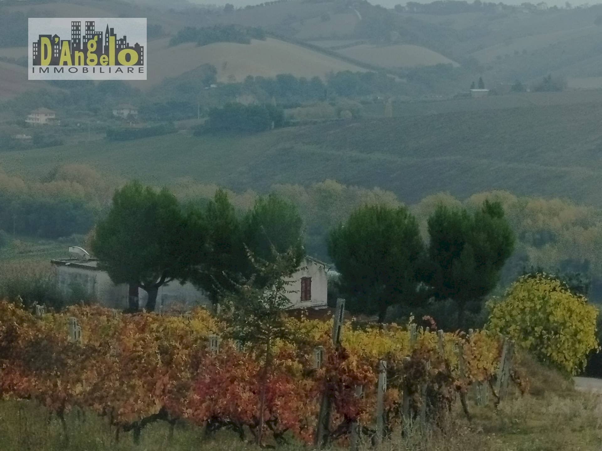 Foto 2 - Rustic Contrada Castiglioni
 
67, Castignano - photo 2