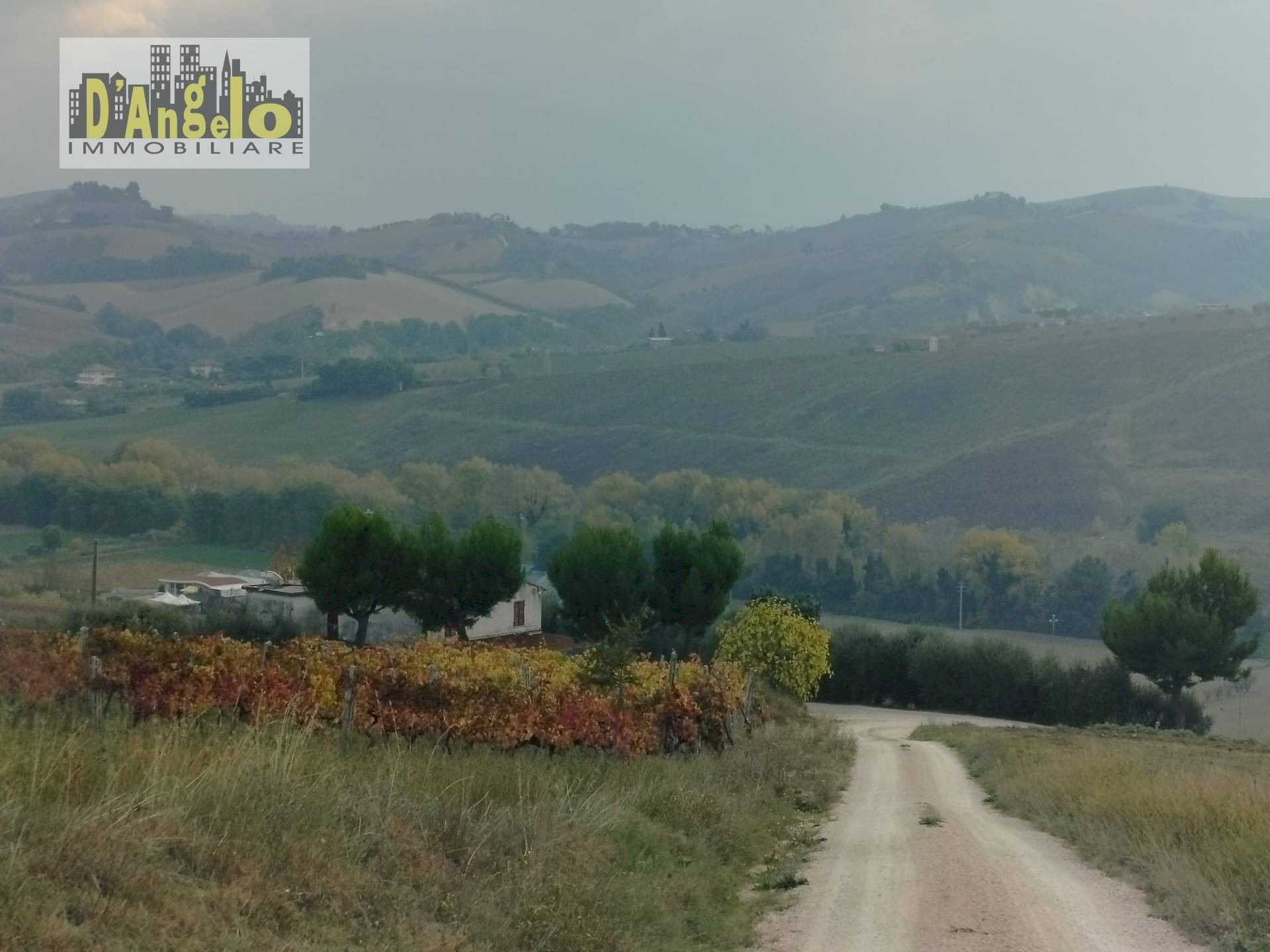 Foto 3 - Rustic Contrada Castiglioni
 
67, Castignano - photo 3