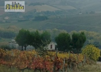 Foto 2 - Rustico Contrada Castiglioni
 
67, Castignano - foto 2