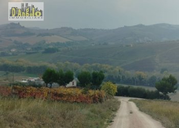 Foto 3 - Rustico Contrada Castiglioni
 
67, Castignano - foto 3