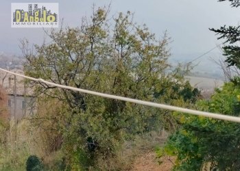 Foto 19 - Rustico Contrada Castiglioni
 
67, Castignano - foto 19