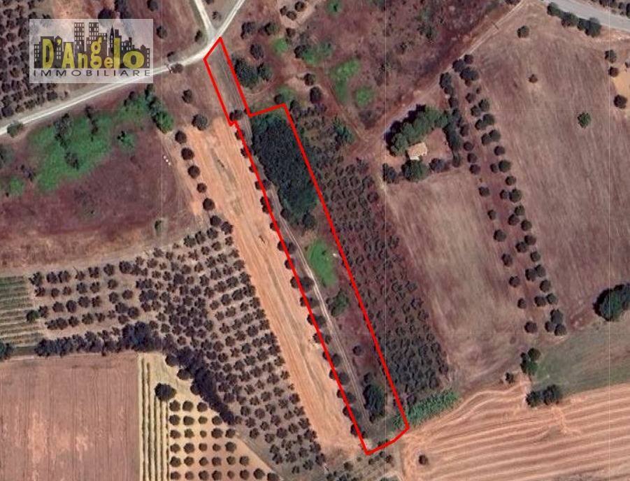 Foto 2 - Farm Corropoli - photo 2