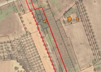 Foto 1 - Azienda agricola Corropoli - foto 1