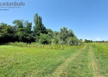 Foto 3 - Terreno edificabile Preganziol - foto 3