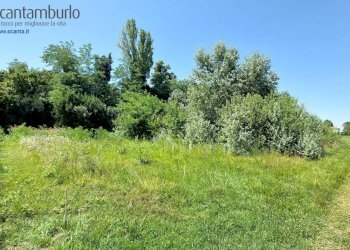 Foto 4 - Terreno edificabile Preganziol - foto 4