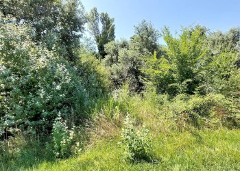 Foto 5 - Terreno edificabile Preganziol - foto 5