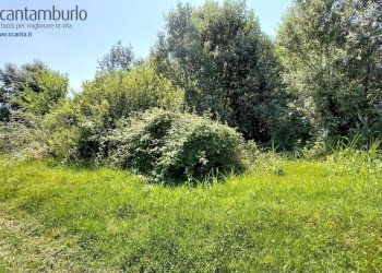 Foto 7 - Terreno edificabile Preganziol - foto 7