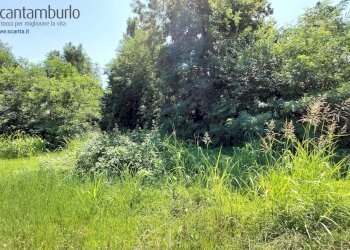 Foto 11 - Terreno edificabile Preganziol - foto 11