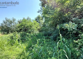 Foto 12 - Terreno edificabile Preganziol - foto 12