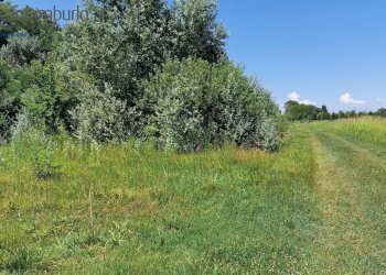 Foto 13 - Terreno edificabile Preganziol - foto 13