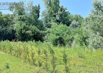 Foto 14 - Terreno edificabile Preganziol - foto 14