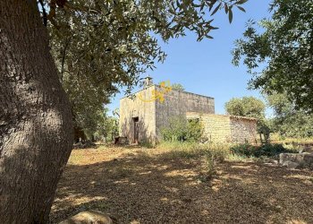 Foto 39 - Villa Polignano, Polignano a Mare - photo 39