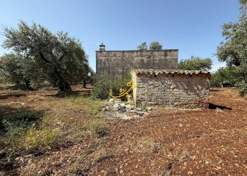 Foto 40 - Villa Polignano, Polignano a Mare - photo 40