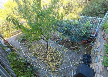 Foto 21 - Villa Via Carducci, Andora - foto 21