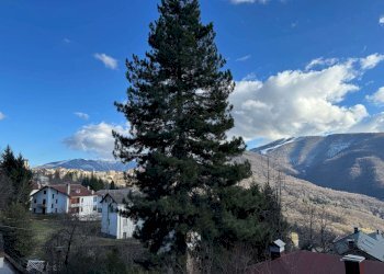 VISTA - Bilocale Roburent - foto 19