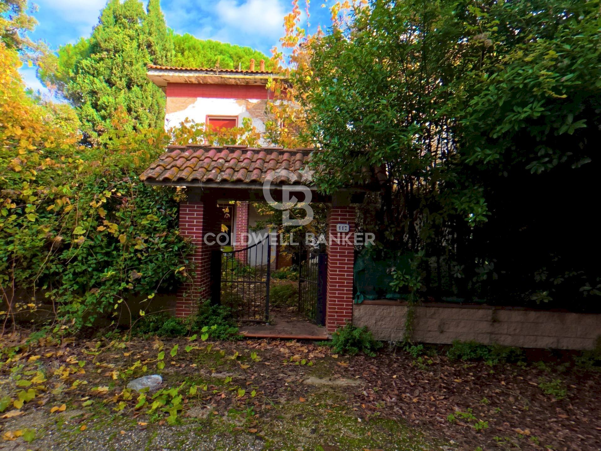 Foto 2 - Rustico Via San Pantaleo, Vinci - foto 2