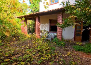 Foto 1 - Rustic Via San Pantaleo, Vinci - photo 1