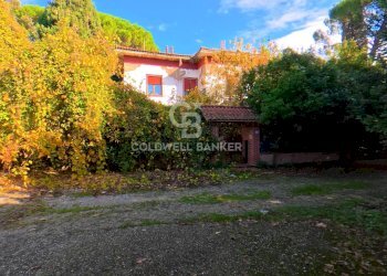 Foto 3 - Rustic Via San Pantaleo, Vinci - photo 3