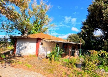 Foto 5 - Rustic Via San Pantaleo, Vinci - photo 5