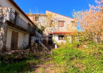 Foto 39 - Rustic Via San Pantaleo, Vinci - photo 39