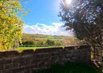 Foto 40 - Rustic Via San Pantaleo, Vinci - photo 40