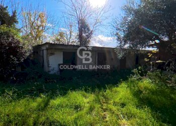 Foto 45 - Rustic Via San Pantaleo, Vinci - photo 45