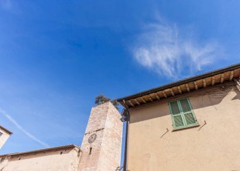 Foto 24 - Appartamento Piazza Kennedy, Spello - foto 24