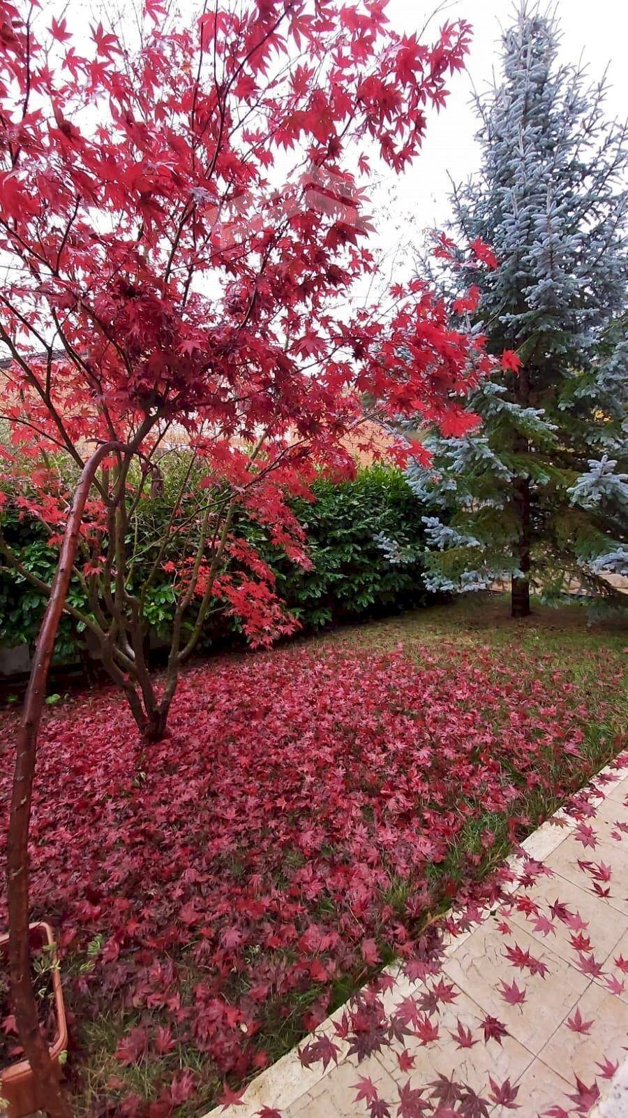 Foto 3 - Trilocale C.da Macine, Campobasso - foto 3