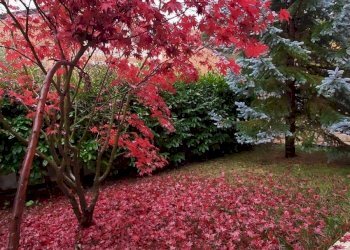 Foto 3 - Trilocale C.da Macine, Campobasso - foto 3