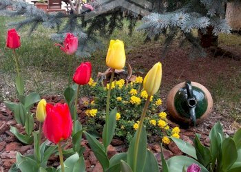 Foto 4 - Trilocale C.da Macine, Campobasso - foto 4