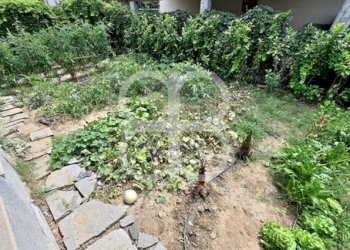 Giardino - Villa via Lavagello, Castelletto d'Orba - foto 3