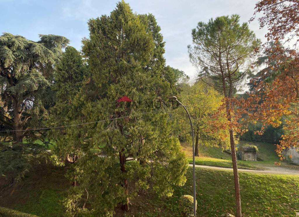 Zona - Apartment via Saragozza, Bologna (neighborhood Costa Saragozza) - photo 2