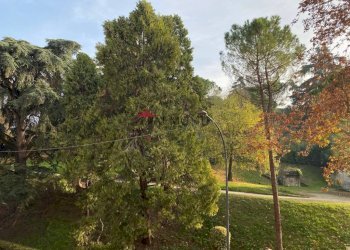 Zona - Apartment via Saragozza, Bologna (neighborhood Costa Saragozza) - photo 2