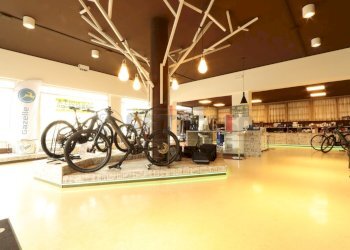 IMG_5190.JPG - Locale Commerciale viale della pace  169, Vicenza - foto 1