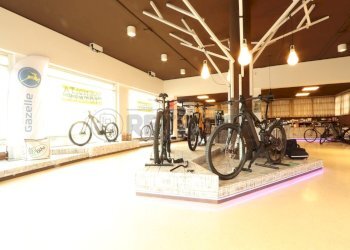 IMG_5191.JPG - Locale Commerciale viale della pace  169, Vicenza - foto 3