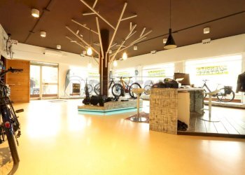 IMG_5198.JPG - Locale Commerciale viale della pace  169, Vicenza - foto 10