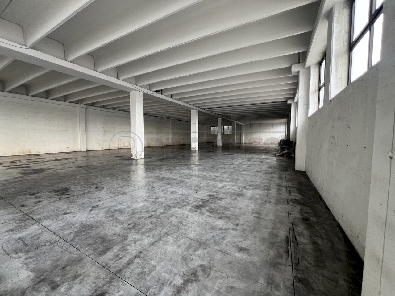 IMG_2952.jpeg - Capannone Borso del Grappa - foto 1