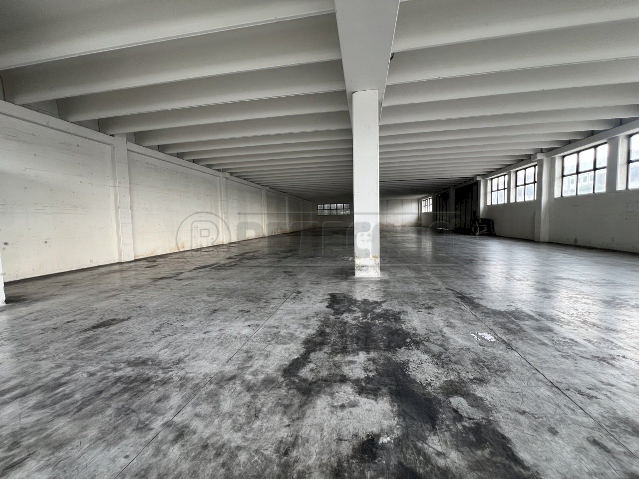 IMG_2953.jpeg - Capannone Borso del Grappa - foto 3