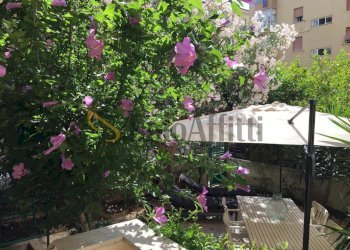 GIARDINO - Quadrilocale Viale Fabbricotti 106, Livorno - foto 13