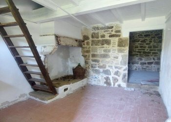 24pinzano.jpg - Casa Colonica Rufina - foto 25