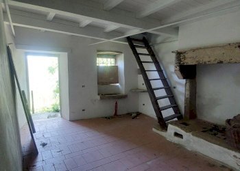 25pinzano.jpg - Casa Colonica Rufina - foto 26