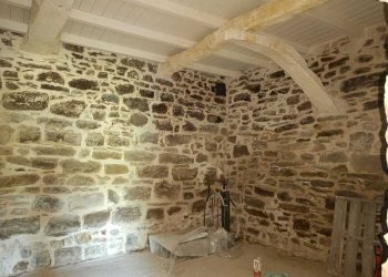 29pinzano.jpg - Casa Colonica Rufina - foto 29