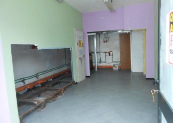 DSCN9881.JPG - Locale Commerciale Viale G. Puccini 1803, Lucca - foto 3