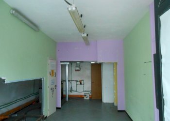 DSCN9891.JPG - Locale Commerciale Viale G. Puccini 1803, Lucca - foto 11