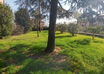 villa VIGNOLA (5).jpg - Villa Via Papa Giovanni Paolo II 10, Vignola - foto 5