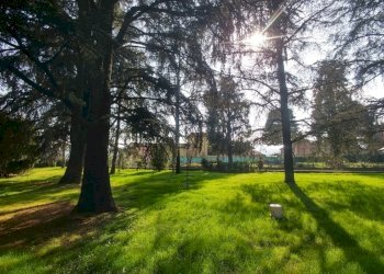 villa VIGNOLA (10).jpg - Villa Via Papa Giovanni Paolo II 10, Vignola - foto 9